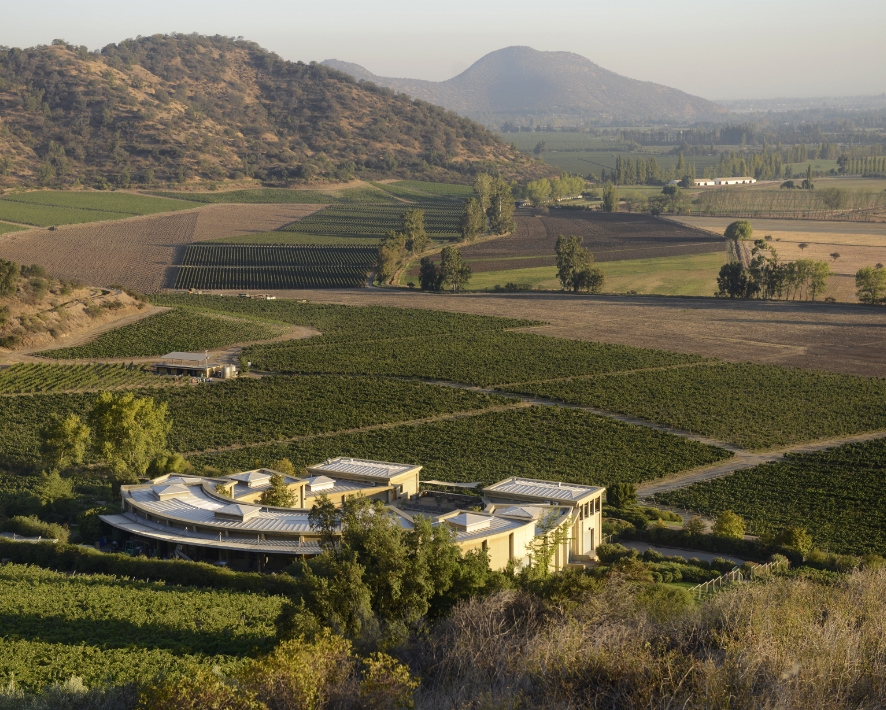 Estate Wineyard