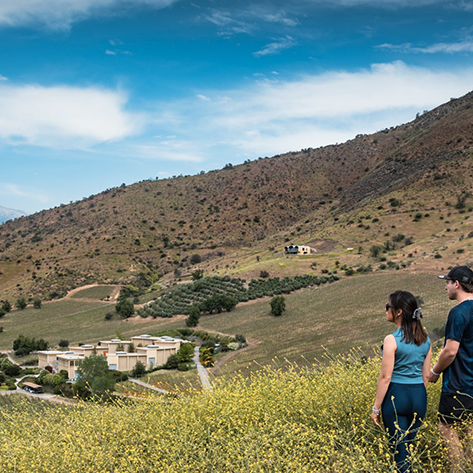 TREKKING